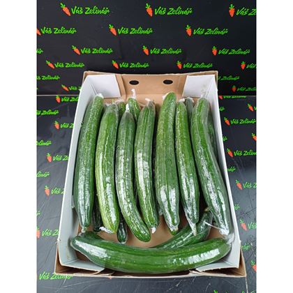 Okurky fólie 16, 4,5kg