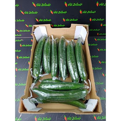 Okurky fólie 16, 4,5kg