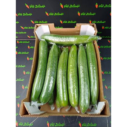 Okurky fólie 14, 4,2kg