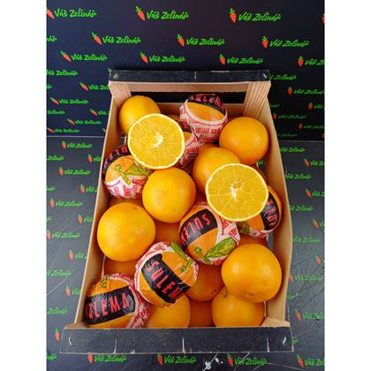 Pomeranče Navelina velké 42ks (15kg)