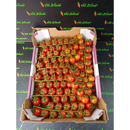 Rajčata cherry keřík, 3 kg