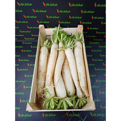 Ředkev bílá vážená, 15 kg