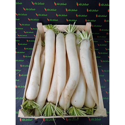 Ředkev bílá vážená, 15 kg