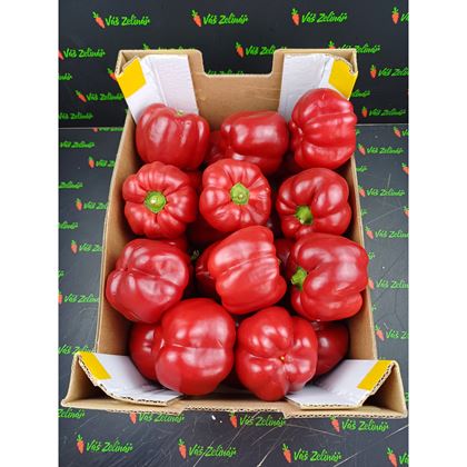 Paprika červená 141+, 10KG