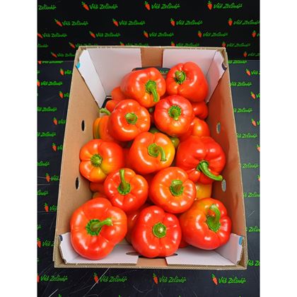 Paprika červená, 5kg