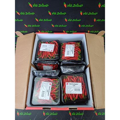 Chilli papričky Rawit Red, 100g