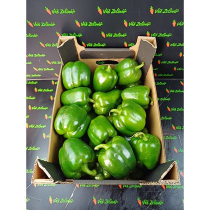 Paprika zelená, 5kg