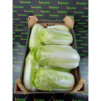 Zelí Pekingské, 10kg