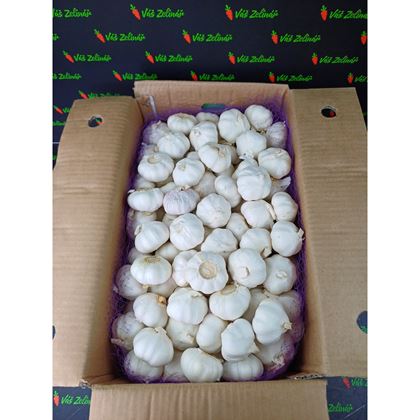 Česnek PW 55+MM, 10kg