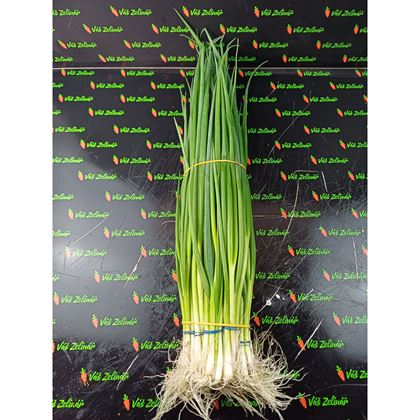 Cibule lahůdková svazek, 10ks