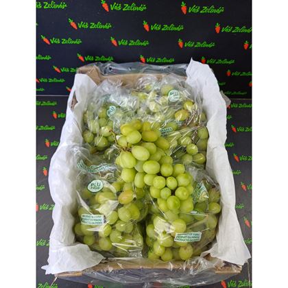 Hrozny bílé bezsemenné Sweet Globe, 4,5kg