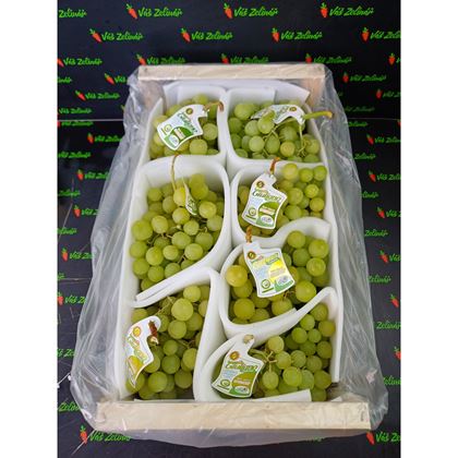 Hrozny bílé bezs. Autumn Crisp, 6kg