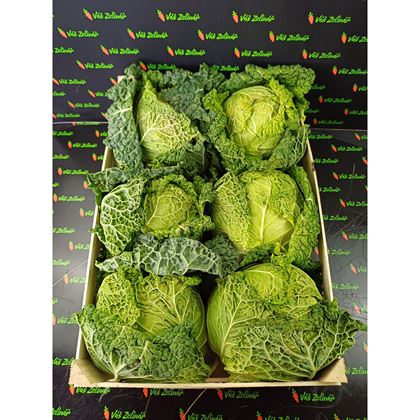 Kapusta dřevo, 6x1ks