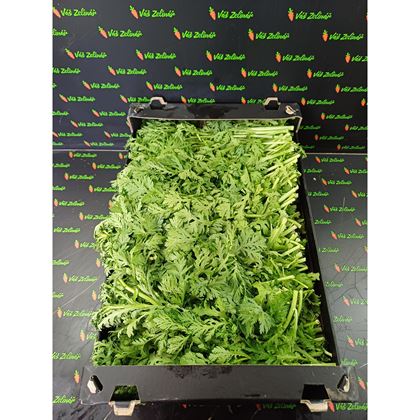 Tong Ho Thin - RAU CAI CUC, 5kg
