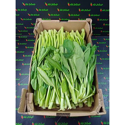 Choi sam " Cai Ngot", 7kg