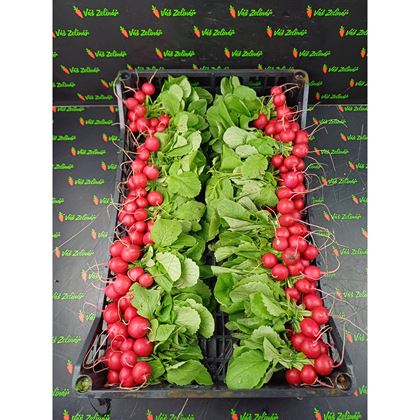 Ředkvičky červené, svazek 20ks