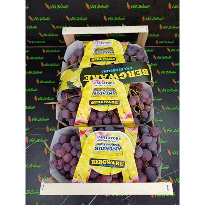 Hrozny červené, 7kg
