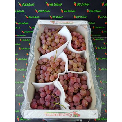 Hrozny Red globe, 7kg