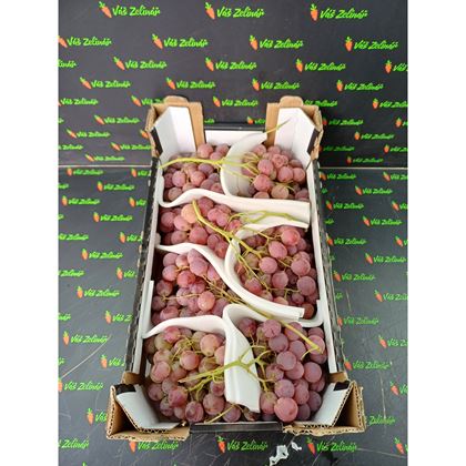 Hrozny Red globe, 7kg