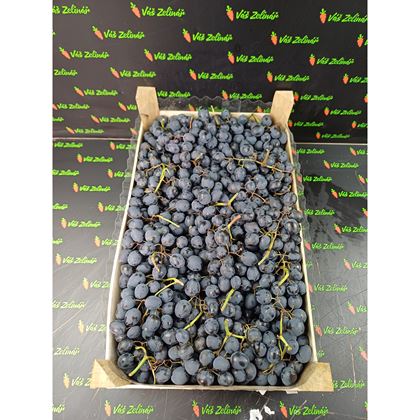 Hrozny Modré Moldavia 8kg