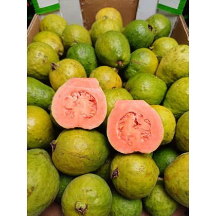 Guava červená, 5kg