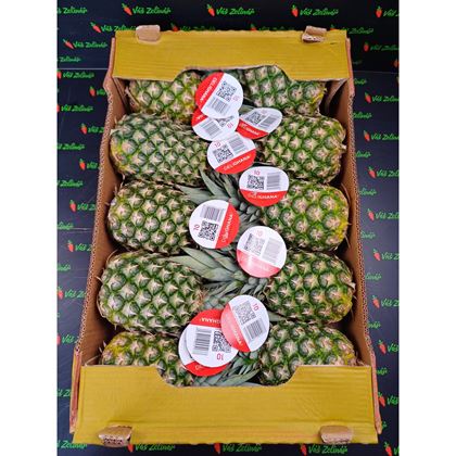 Ananas. 10ks