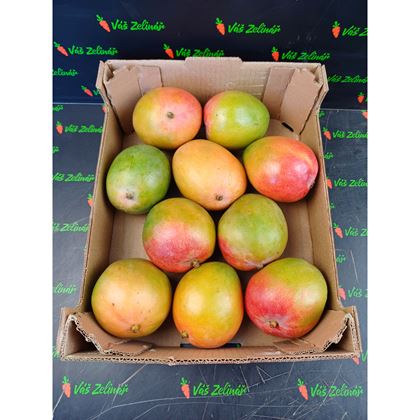 Mango Kent, 7ks (4kg)
