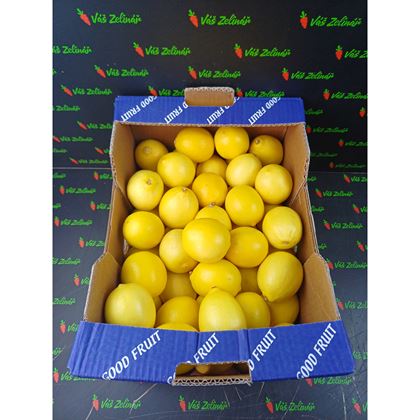 Citron Primofiori, 10kg