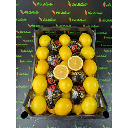 Citron Primofiori, 10kg