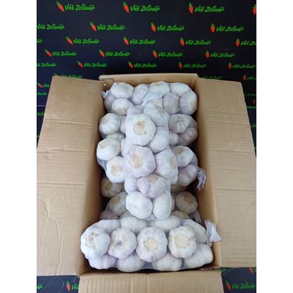 Česnek Normal White 1kg 55/60
