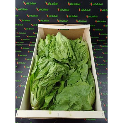 Kai Choi - Čínská hořčice, 8kg