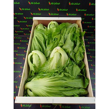 Kai Choi - Čínská hořčice, 8kg