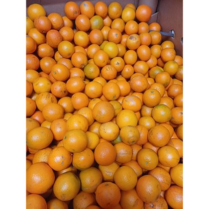 Pomeranč 10x2kg (malé)