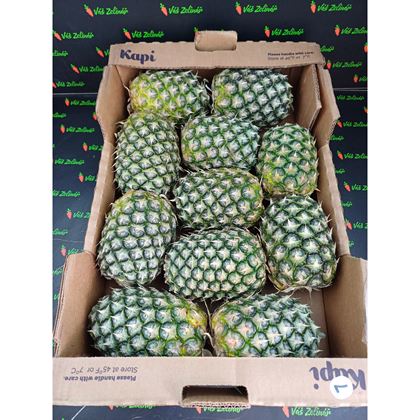 Ananas bezlistý 11ks