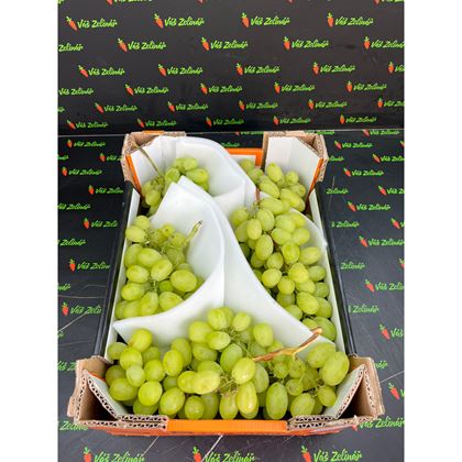 Hrozny bílé Victoria 5kg
