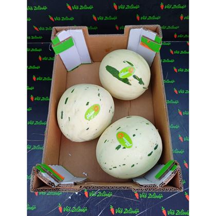 Meloun "DINO" 1ks