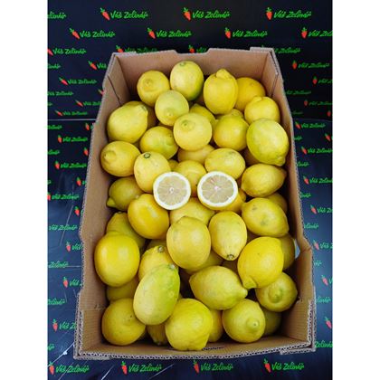Citron Eureka, 17,2Kg