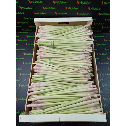 Citronová tráva, váž.