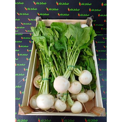 Ředkev Bílá kulatá, 10ks