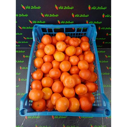 Mandarinka volně kalibr 4, 10kg
