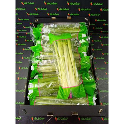 Celer řapíkatý, 20ks