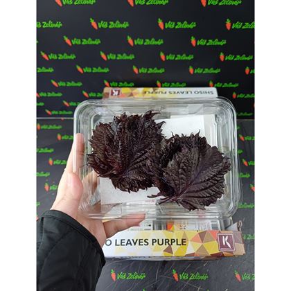 Perila fialová listy (15ks) 8x150g