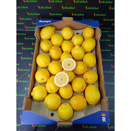 Citron Primofiori, 7kg