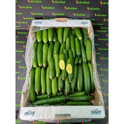 Okurky MINI nebalené, 9Kg