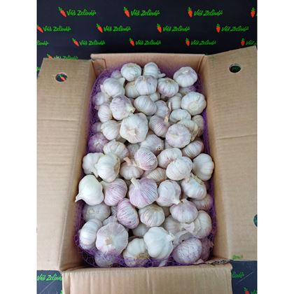 Česnek NW 55-60 MM, 10kg