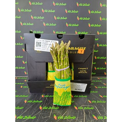 Chřest zelený, 11x450g