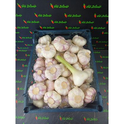 Česnek FRESH 65+ volně, 10kg