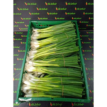 Cibule lahůdková, 20ks
