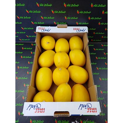 Meloun žlutý Honey Dew, 12ks