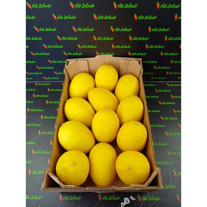 Meloun žlutý Honey Dew, 12ks